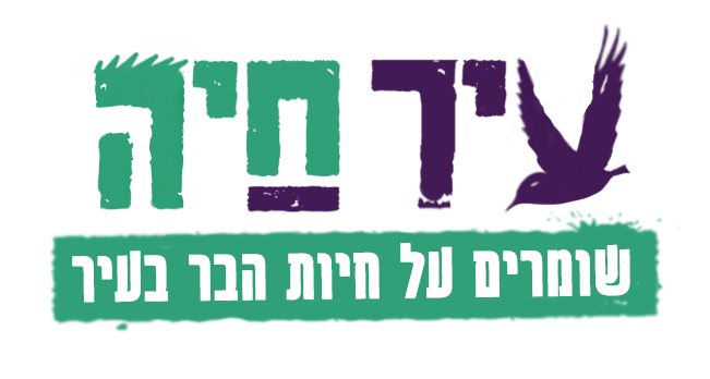 הרצליה עיר חיה